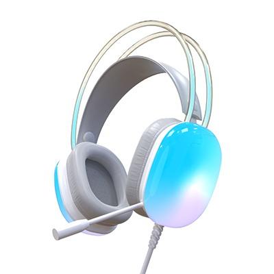 HS 303 Stereo Sound WireD Gaming Headset 