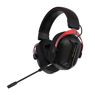 HS 307 Stereo Sound WireD Gaming Headset 