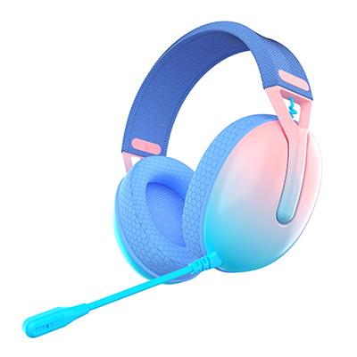 HS 315 High Quality Stereo Sound Wireless Gaming Headset 